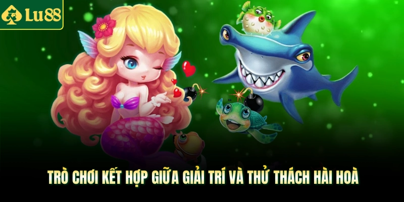 Trò chơi kết hợp giữa giải trí và thử thách hài hoà